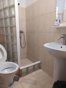 Afbeelding uit fotogalerij van Pensiunea Nicol Tulcea in Tulcea