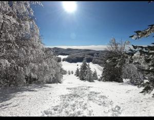 a snow covered slope with trees and the sun in the sky at Agrifoglio in Torre Caprara