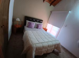 a bedroom with a bed with purple pillows and a window at Duplex 3 in Villa Gesell +3 photos