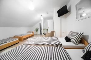 a room with two beds and a tv on the wall at Hostel Herz in Banja Luka