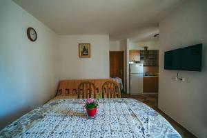 Televízia a/alebo spoločenská miestnosť v ubytovaní Apartments Lovre