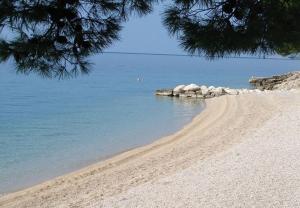 Príroda v okolí apartmánu