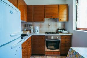 Kuchyňa alebo kuchynka v ubytovaní Apartments Lovre