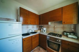 Kuchyňa alebo kuchynka v ubytovaní Apartments Lovre