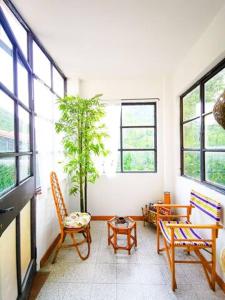 ein Zimmer mit zwei Stühlen und einer Topfpflanze in der Unterkunft Polcanto i Castagni appartamento in casa colonica in Borgo San Lorenzo