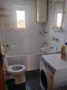 ein Badezimmer mit Toilette, Waschbecken und Waschmaschine in der Unterkunft Kleopa in Pale + 15 Fotos