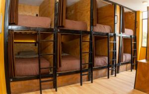 Uma ou mais camas em beliche em um quarto em Wild Rover Huacachina