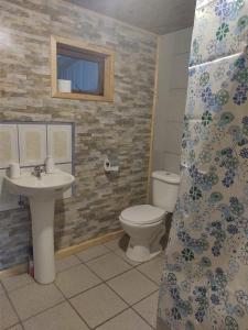a bathroom with a toilet and a sink at Cabaña Hornopiren 1 in Hornopiren