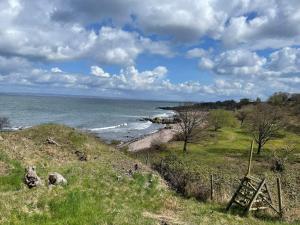 Billede fra billedgalleriet på 4 star holiday home in Kattarp i Kattarp + 26 billeder