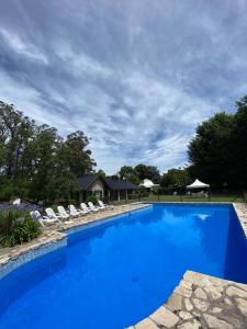 a large blue swimming pool with white lounge chairs at Posada Las Camelias in Estancia La Totoro South