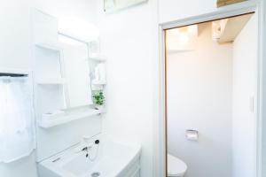 Koupelna v ubytování Miraie Yokkaichi Nishishinchi 2