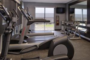 Fitness centrum a/nebo fitness zařízení v ubytování Fairfield Inn & Suites by Marriott Cedar Rapids