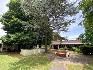 a bench sitting under a tree in a yard at Posada Las Camelias in Estancia La Totoro South