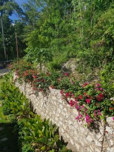 Giardino di SeTu Divespot & Resort