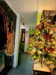 Fotografie z fotogalerie ubytování HOSTAL GRAU v destinaci Churín