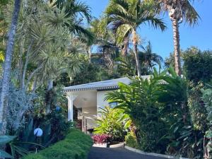 een huis met palmbomen ervoor bij Gîte créole chic avec piscine, clim et wifi - FR-1-786-39 in Petite Île