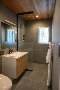 a bathroom with a sink and a shower and a toilet at Koyo Onsen Chalet in Niseko +35 photos
