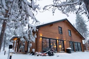 New 3-Bedroom Skiing Cabin - Levi v zimě