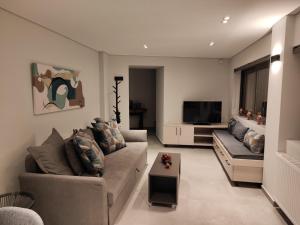 a living room with a couch and a television at Pavliani Apartments in Pavliani
