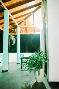 TV a/nebo společenská místnost v ubytování Beach Lagoon Guesthouse