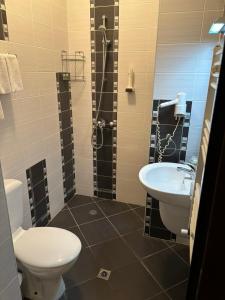 a bathroom with a sink and a toilet and a shower at Хотел "Русенски лом" in Koshov