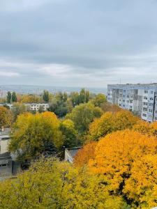 キシナウにあるFour Season Poetryの木々や建物のある街の景色