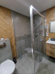 a bathroom with a shower with a toilet and a sink at Kowolove in Bańska Wyżna +36 photos