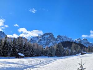 a snow covered field with a house and mountains at Alpin Chalet Frenademetz in San Martino in Badia