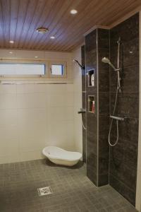 a bathroom with a shower and a toilet at Arctic Fox Rovaniemi in Rovaniemi