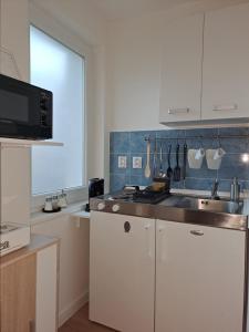 Kuchyň nebo kuchyňský kout v ubytování Apartmán Apaya