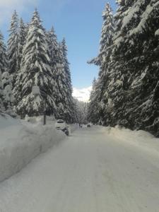 eine schneebedeckte Straße mit Bäumen und einem Auto in der Unterkunft Zabljak Dela Ma in Žabljak