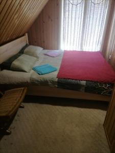 Bett in einem Zimmer mit Fenster und Bettgitter in der Unterkunft Zabljak Dela Ma in Žabljak