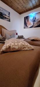Ένα ή περισσότερα κρεβάτια σε δωμάτιο στο Apartment Unterhollenau