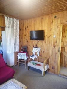 ein Wohnzimmer mit einem Sofa und einem Fernseher an der Wand in der Unterkunft Zabljak Dela Ma in Žabljak
