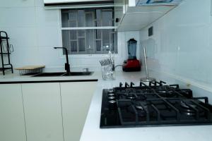 Kuchyň nebo kuchyňský kout v ubytování Dasah Apartment
