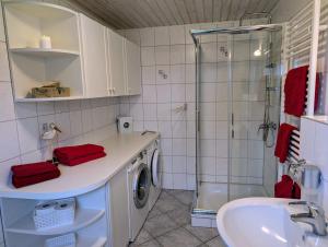 a bathroom with a washing machine and a sink at Hygge am See in Aventoft +21 photos