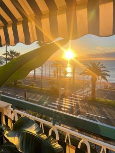 Naturlandskabet i nærheden af lejligheden