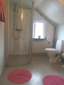 a bathroom with a toilet and a shower with a window at Påryds Bed & Breakfast in Påryd