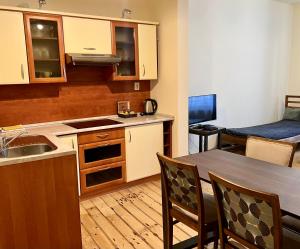 Kuchnia lub aneks kuchenny w obiekcie Apartamenty i Studia HERBARIUM