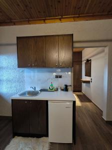 Kuchyň nebo kuchyňský kout v ubytování Enastron Guesthouse