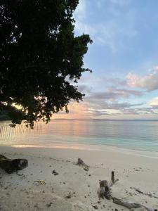 a beach with a tree and the ocean at Biryei Homestay Raja Ampat in Pulau Birie +10 photos