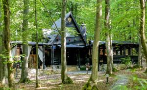 a log cabin in the woods with trees at Forest Escape with Jacuzzi & Pool Among the Trees by Destination GREEN Croatia in Ivanec