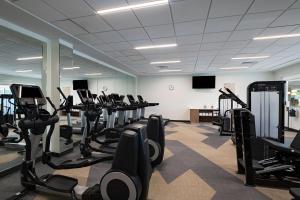 Palestra o centro fitness di Element Spring Valley