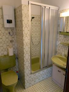 Un baño con ducha, inodoro y lavabo. en FeWo Pieck mit Parkplatz und privater Garage, en Winterberg