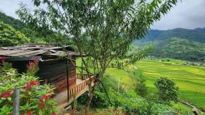 a house with a view of a rice field at Sùng A Hờ Homestay in Mù Cang Chải