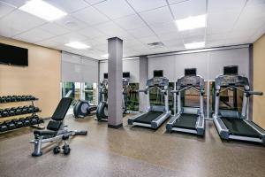 Fitness centrum a/nebo fitness zařízení v ubytování Fairfield Inn & Suites by Marriott Van