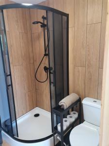 a bathroom with a shower and a toilet at Hortensja in Rusinowo