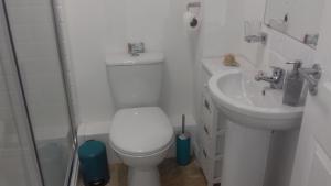 ブリクサムにあるNo 10 Brixham ( With Free Parking )のトイレと洗面台を備えた白いバスルーム +15枚の写真