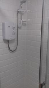 ブリクサムにあるNo 10 Brixham ( With Free Parking )のバスルーム(シャワーブース付)