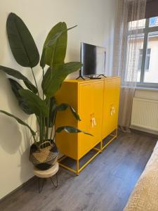 a yellow cabinet with a tv and a potted plant at Naumburger Charme Solaris II in Naumburg